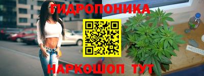 сатива Заводоуковск