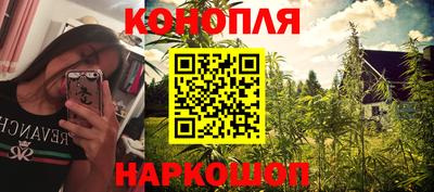 сатива Заводоуковск