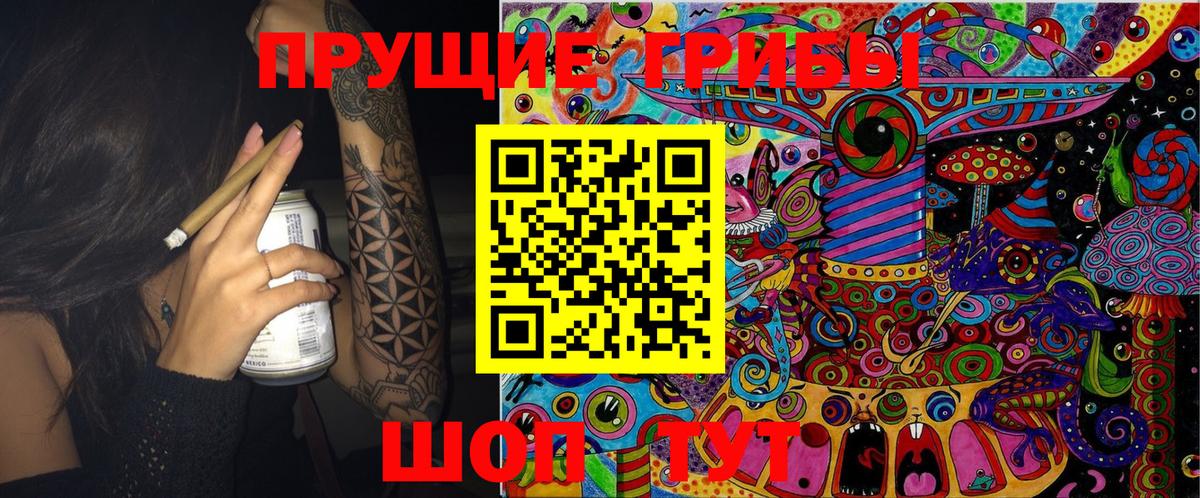 Кореновск  Галлюциногенные грибы MAGIC MUSHROOMS  Вход с VPN 