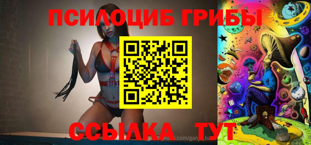 Псилоцибиновые грибы GOLDEN TEACHER Кореновск